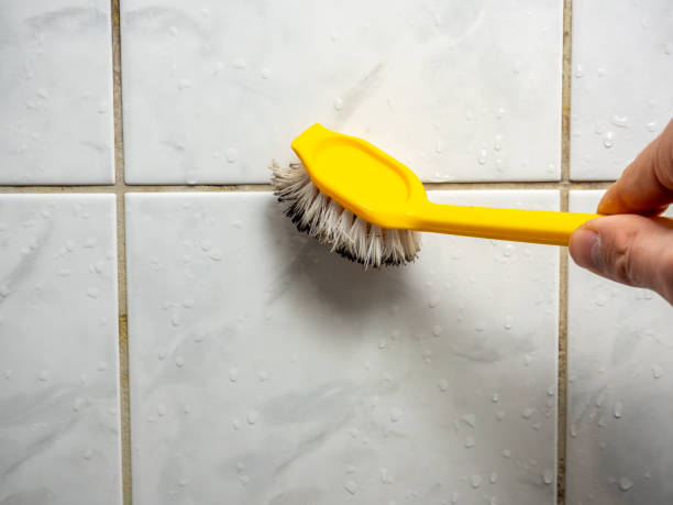 Best Mold Damage Repair  in Ozark, MO